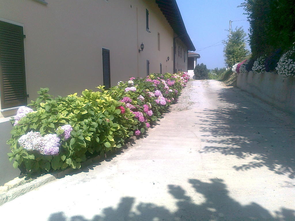 Cascina La Corte Acomodação com café da manhã Neive Exterior foto