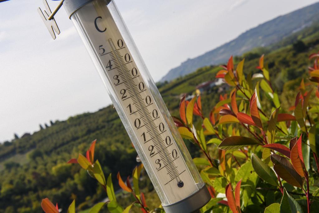 Cascina La Corte Acomodação com café da manhã Neive Exterior foto